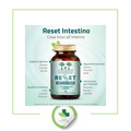 Salugea reset intestino